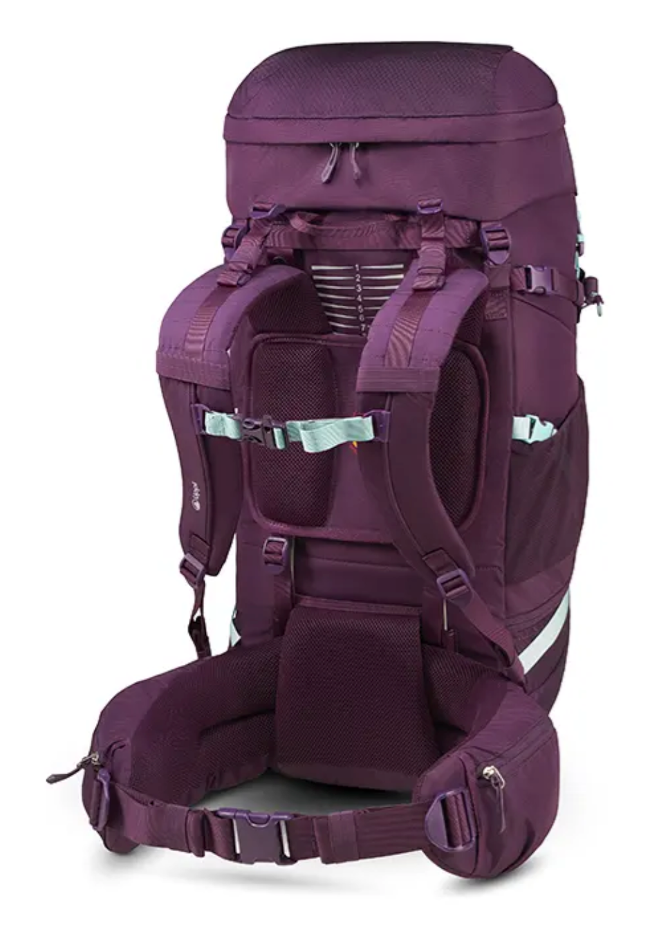 Mochila Lippi X-perience 65 L Morado